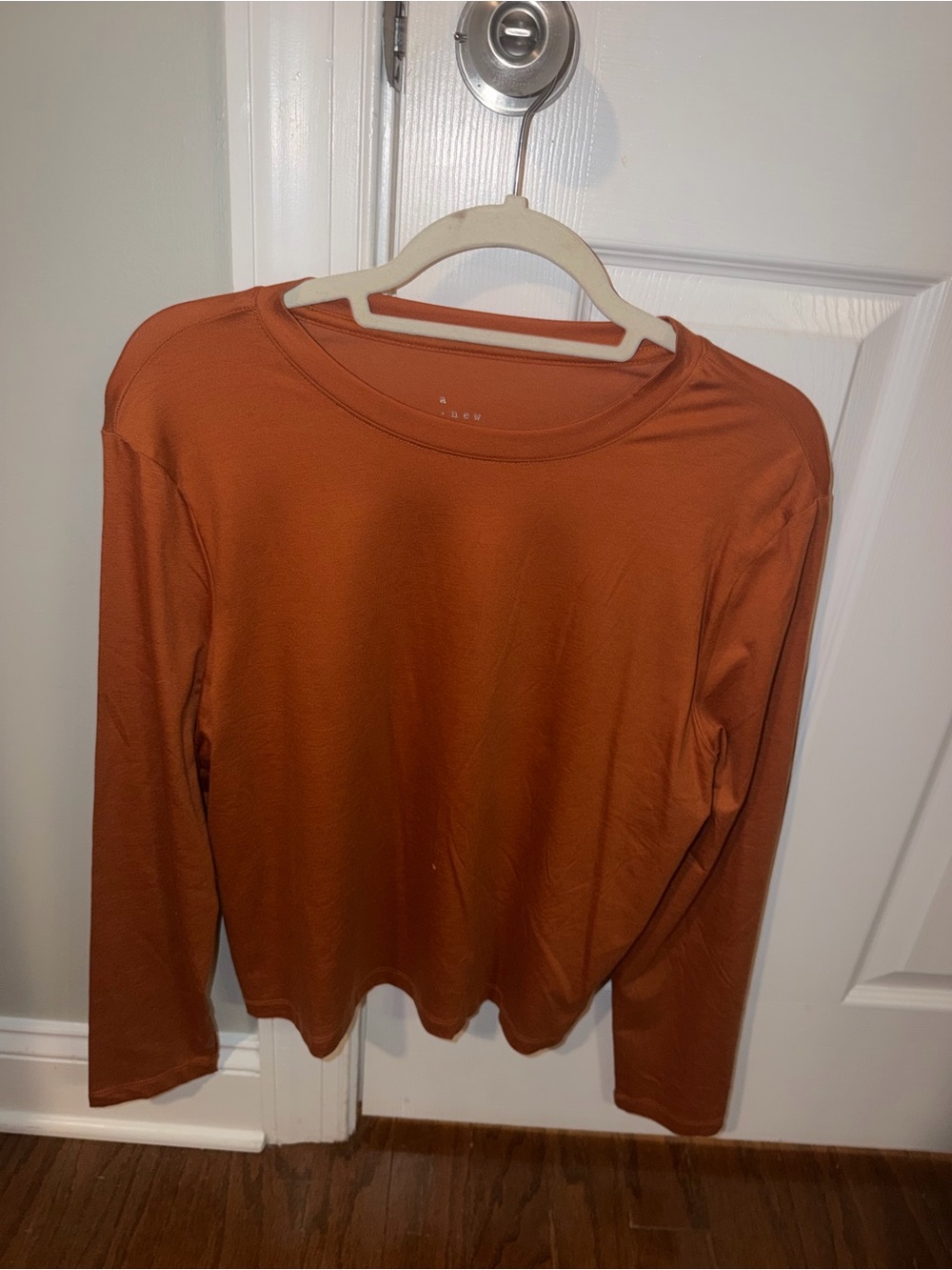 a new day Long Sleeve Crewneck Top — Rust